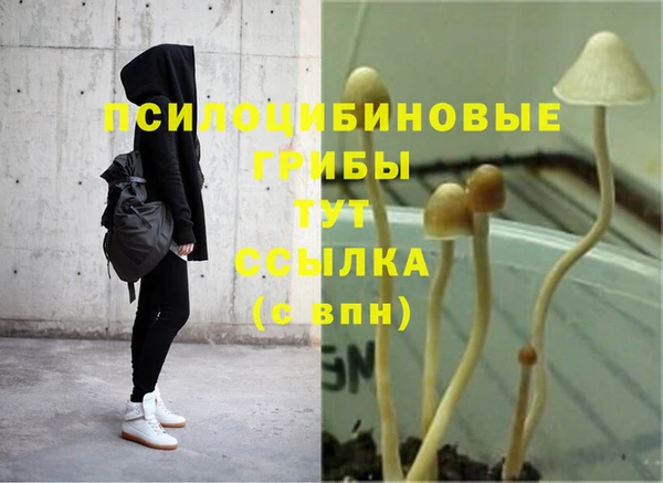 кокс Лагань
